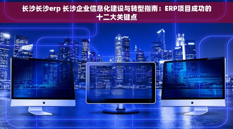 长沙长沙erp 长沙企业信息化建设与转型指南：ERP项目成功的十二大关键点