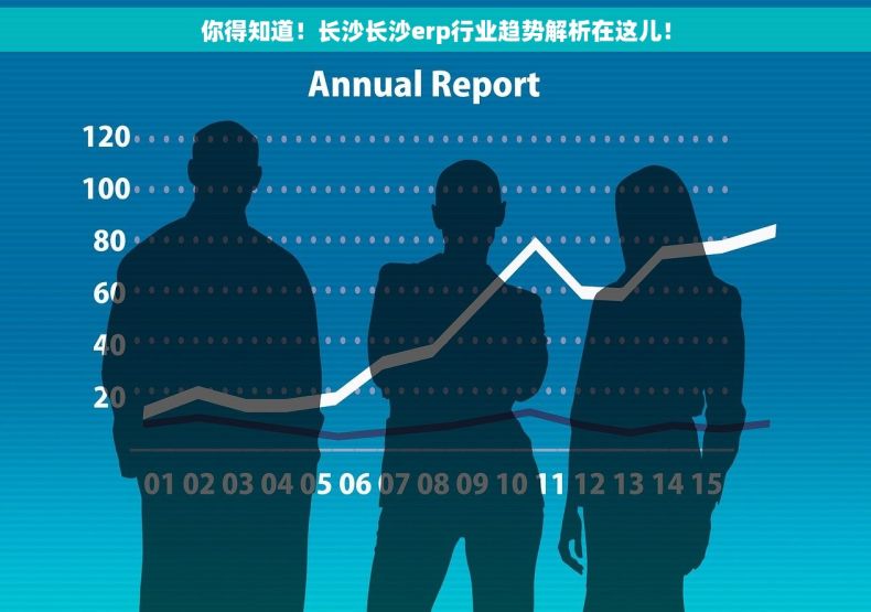你得知道！长沙长沙erp行业趋势解析在这儿！