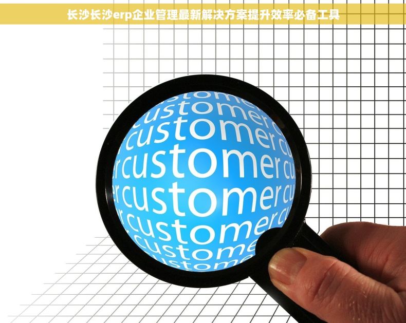 长沙长沙erp企业管理最新解决方案提升效率必备工具