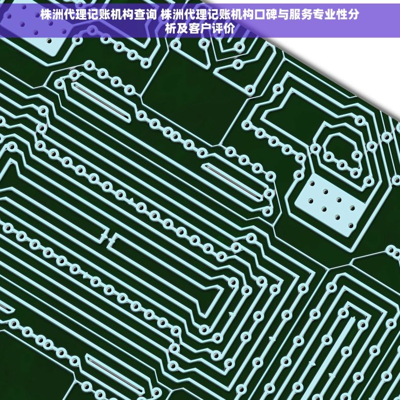 株洲代理记账机构查询 株洲代理记账机构口碑与服务专业性分析及客户评价