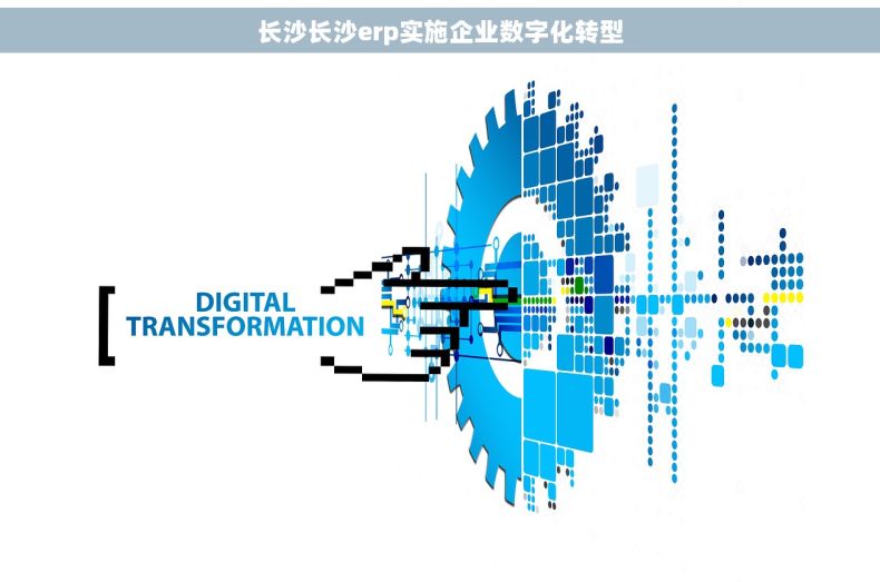 长沙长沙erp实施企业数字化转型