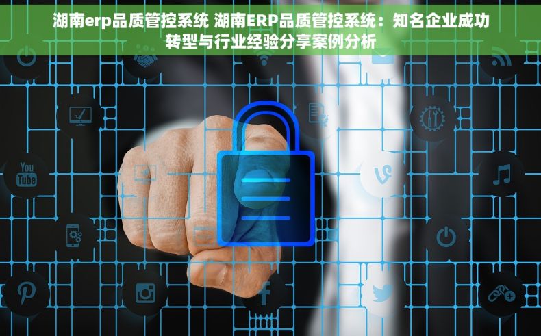 湖南erp品质管控系统 湖南ERP品质管控系统：知名企业成功转型与行业经验分享案例分析