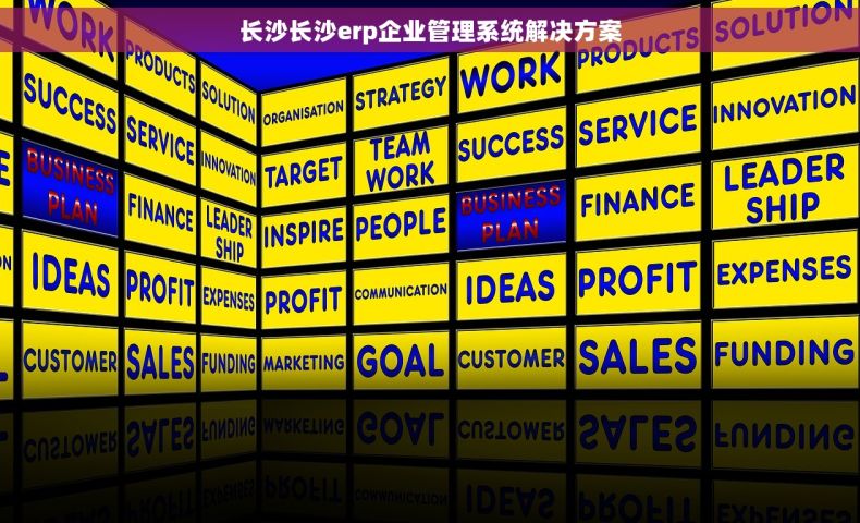 长沙长沙erp企业管理系统解决方案