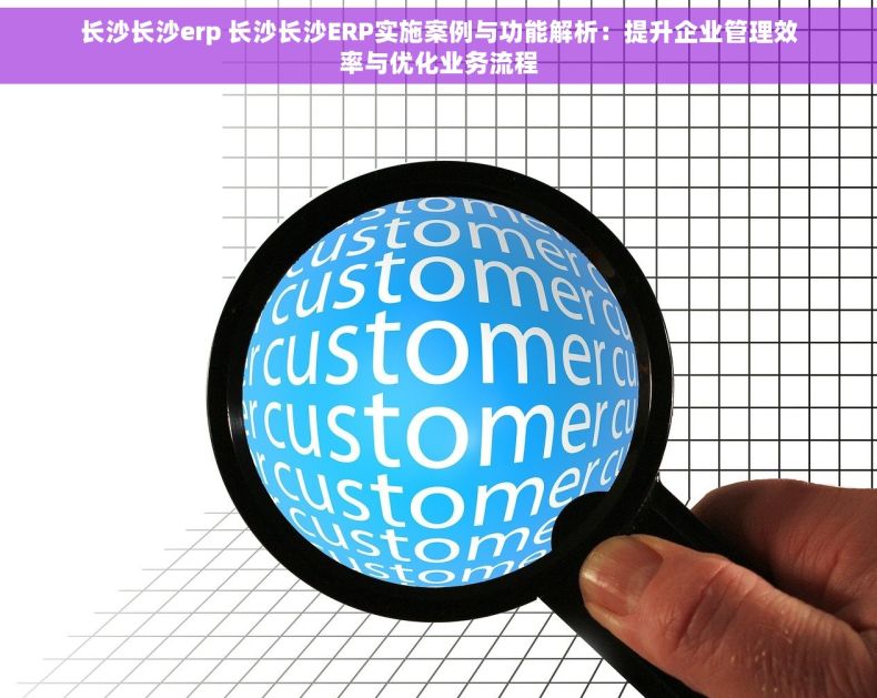 长沙长沙erp 长沙长沙ERP实施案例与功能解析：提升企业管理效率与优化业务流程