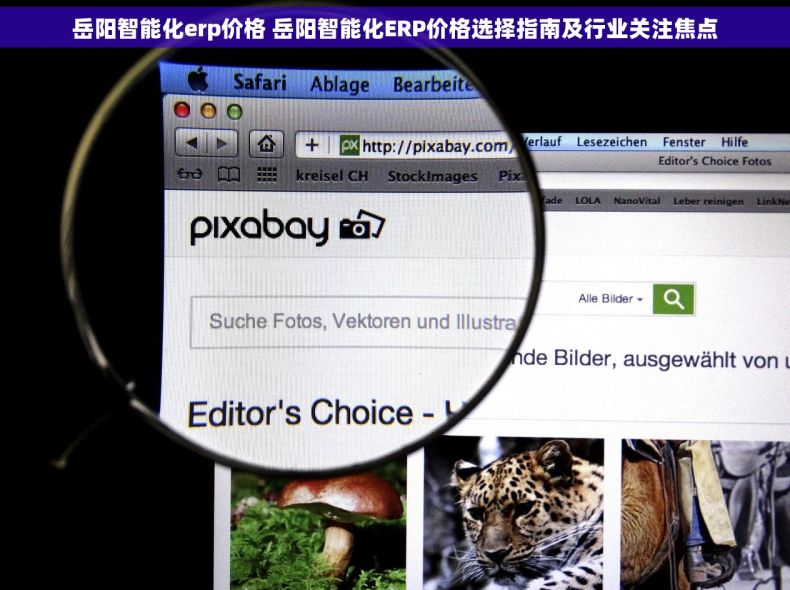 岳阳智能化erp价格 岳阳智能化ERP价格选择指南及行业关注焦点