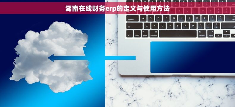 湖南在线财务erp的定义与使用方法