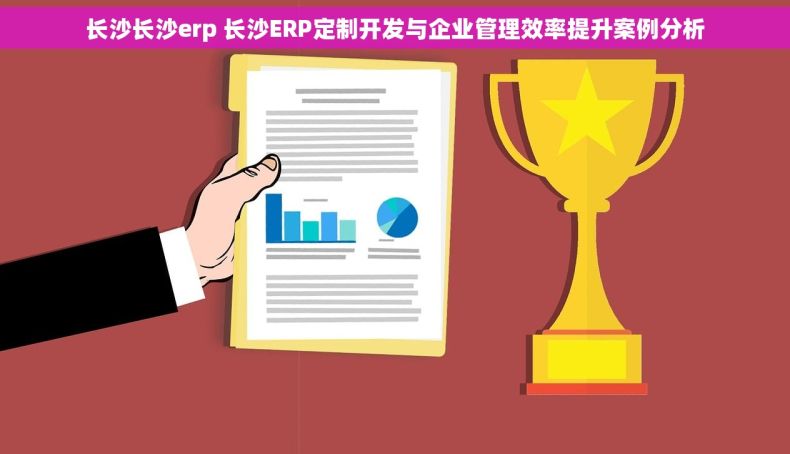 长沙长沙erp 长沙ERP定制开发与企业管理效率提升案例分析