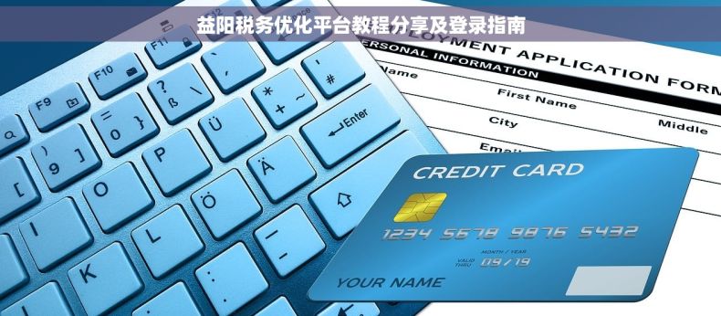 益阳税务优化平台教程分享及登录指南