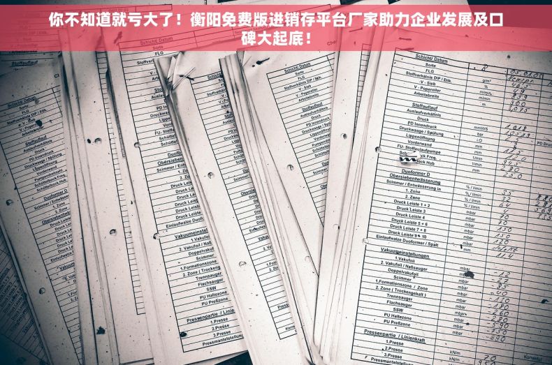 你不知道就亏大了！衡阳免费版进销存平台厂家助力企业发展及口碑大起底！