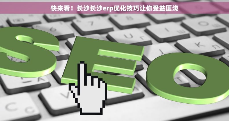 快来看！长沙长沙erp优化技巧让你受益匪浅