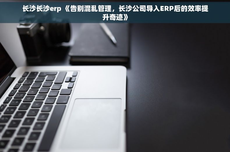 长沙长沙erp 《告别混乱管理，长沙公司导入ERP后的效率提升奇迹》