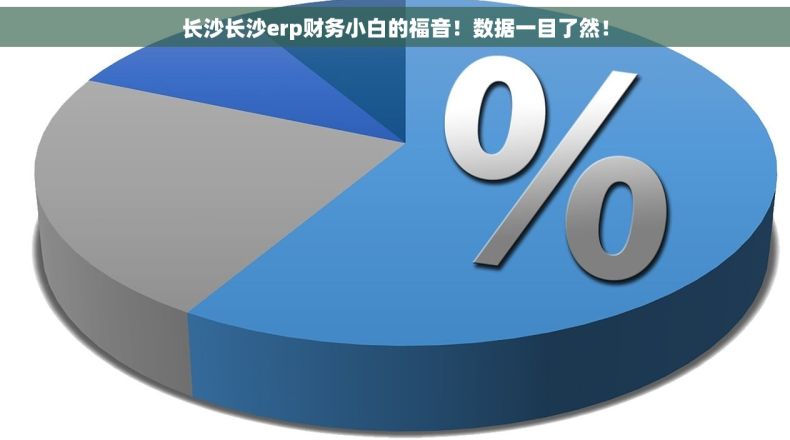 长沙长沙erp财务小白的福音！数据一目了然！