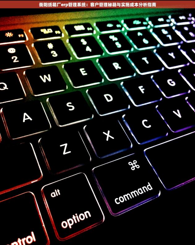 衡阳纸箱厂erp管理系统：客户管理秘籍与实施成本分析指南