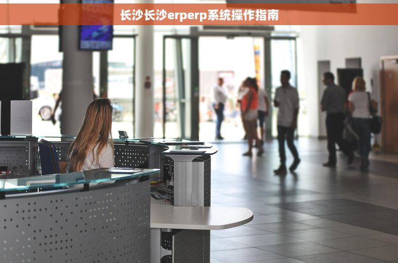 长沙长沙erperp系统操作指南