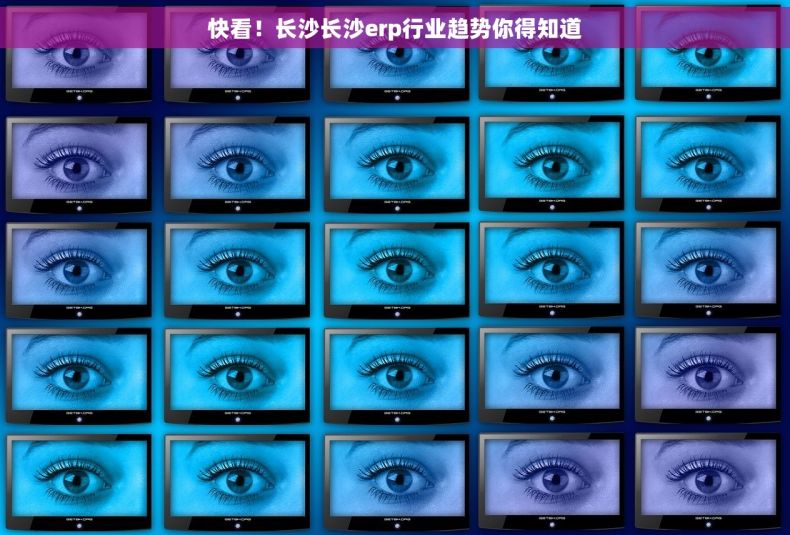 快看！长沙长沙erp行业趋势你得知道