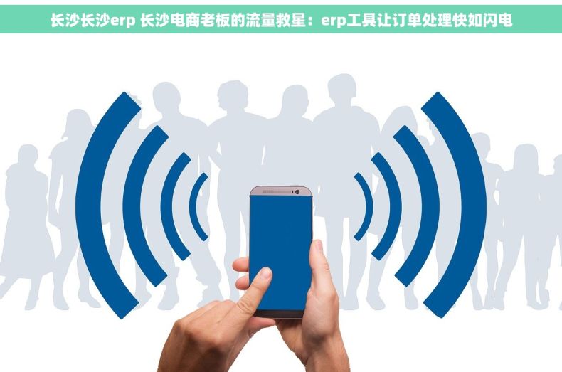 长沙长沙erp 长沙电商老板的流量救星：erp工具让订单处理快如闪电