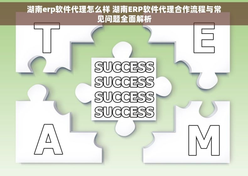 湖南erp软件代理怎么样 湖南ERP软件代理合作流程与常见问题全面解析