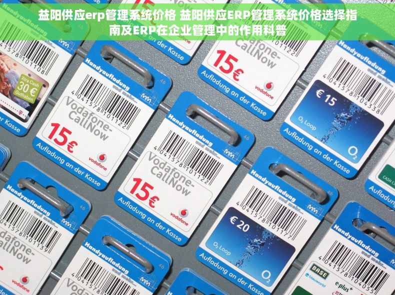 益阳供应erp管理系统价格 益阳供应ERP管理系统价格选择指南及ERP在企业管理中的作用科普
