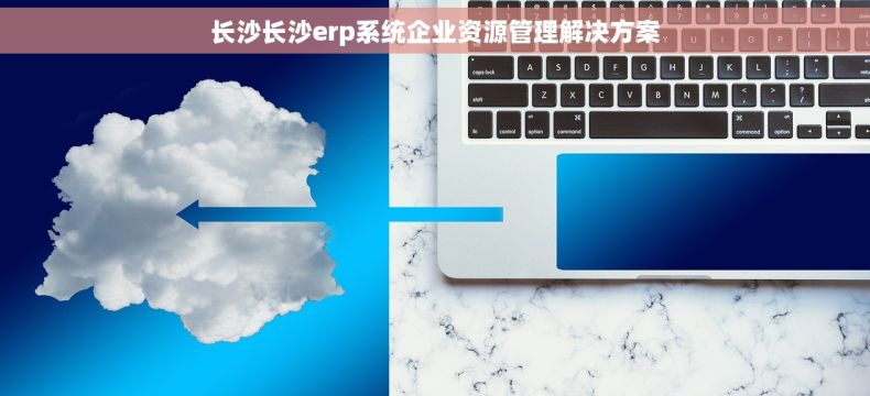 长沙长沙erp系统企业资源管理解决方案