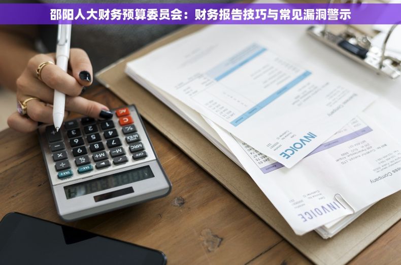 邵阳人大财务预算委员会：财务报告技巧与常见漏洞警示