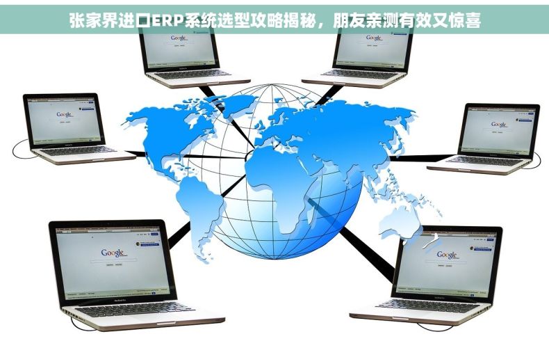 张家界进口ERP系统选型攻略揭秘，朋友亲测有效又惊喜