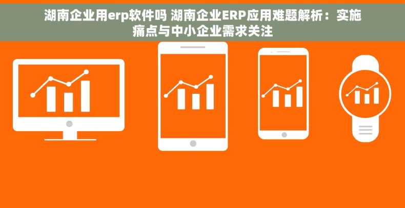 湖南企业用erp软件吗 湖南企业ERP应用难题解析：实施痛点与中小企业需求关注