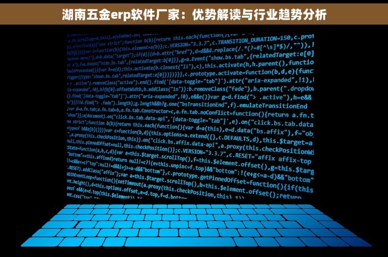 湖南五金erp软件厂家：优势解读与行业趋势分析