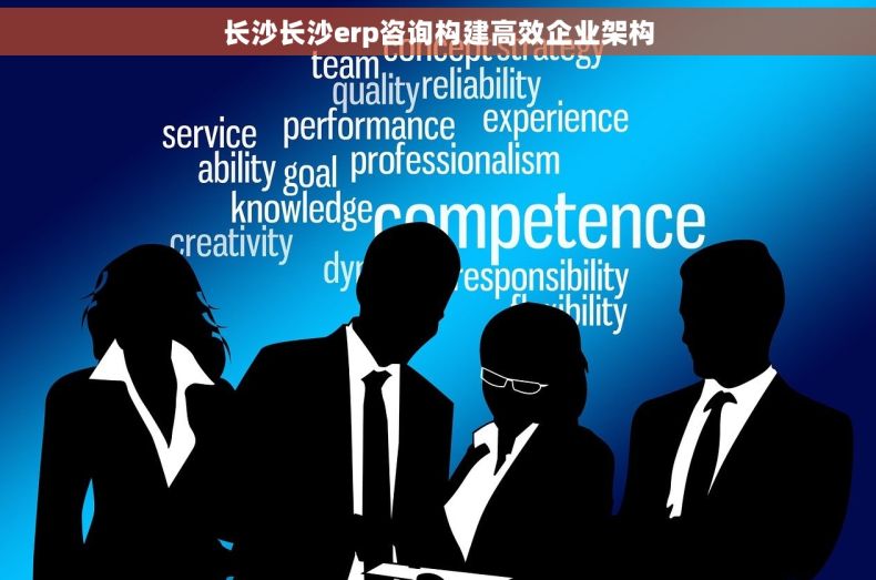 长沙长沙erp咨询构建高效企业架构