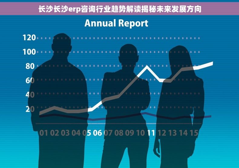 长沙长沙erp咨询行业趋势解读揭秘未来发展方向