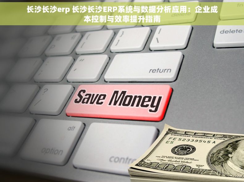 长沙长沙erp 长沙长沙ERP系统与数据分析应用：企业成本控制与效率提升指南