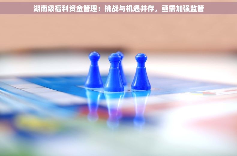 湖南级福利资金管理：挑战与机遇并存，亟需加强监管