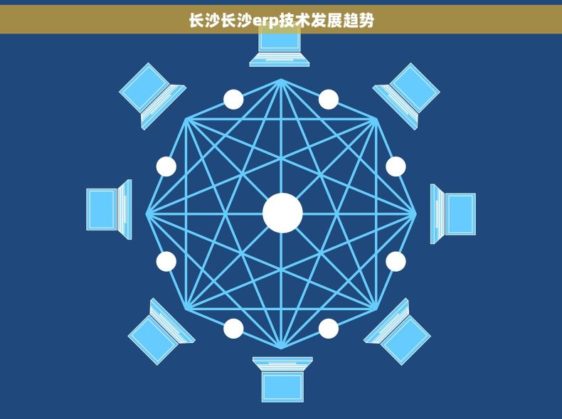 长沙长沙erp技术发展趋势