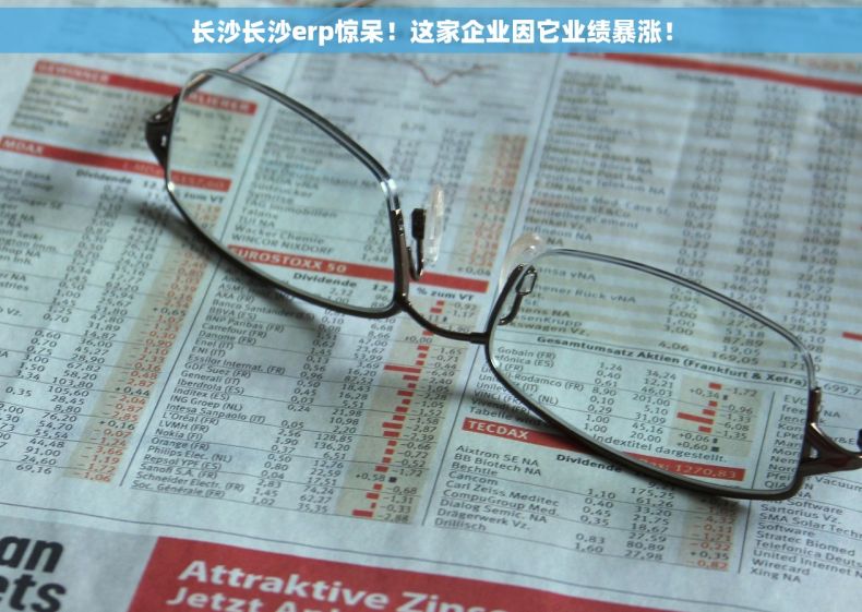 长沙长沙erp惊呆！这家企业因它业绩暴涨！