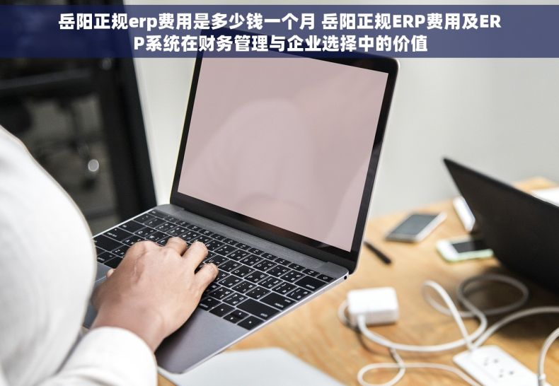 岳阳正规erp费用是多少钱一个月 岳阳正规ERP费用及ERP系统在财务管理与企业选择中的价值