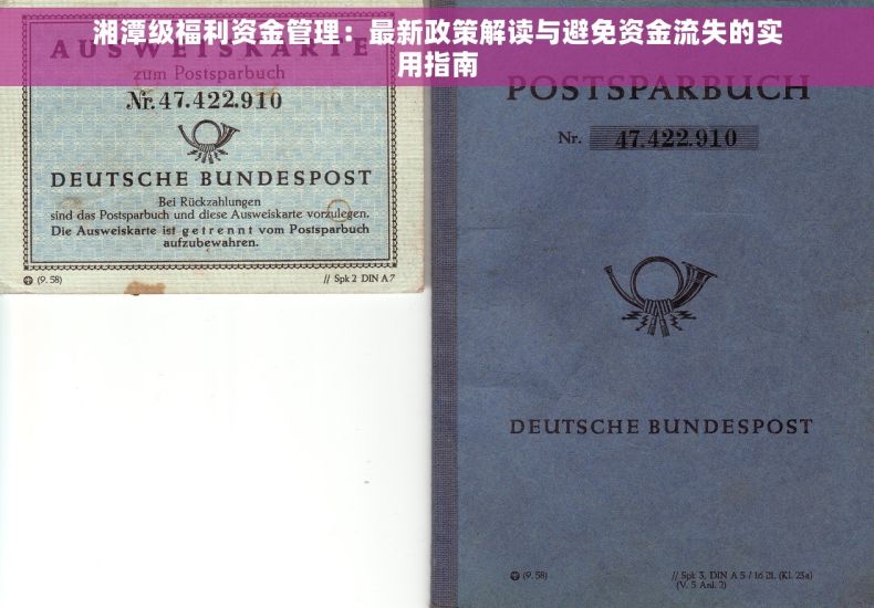 湘潭级福利资金管理：最新政策解读与避免资金流失的实用指南
