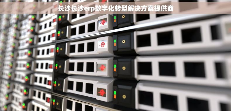 长沙长沙erp数字化转型解决方案提供商