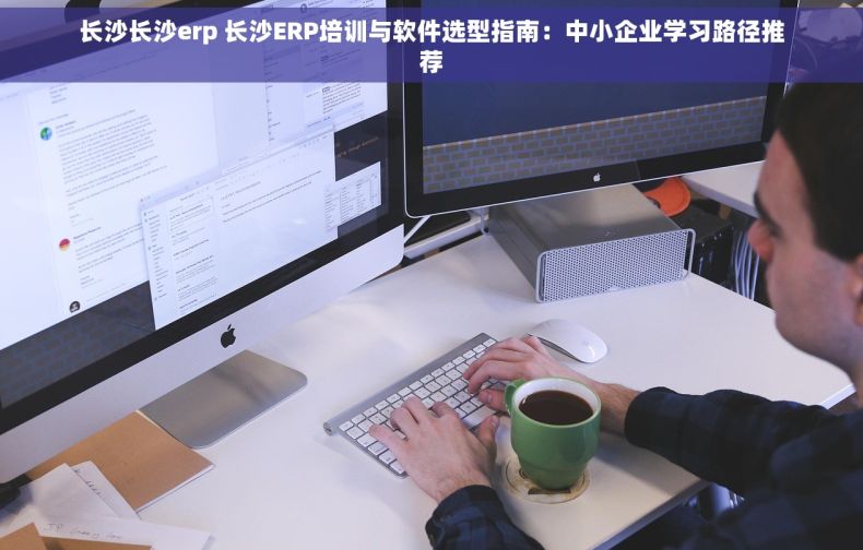 长沙长沙erp 长沙ERP培训与软件选型指南：中小企业学习路径推荐