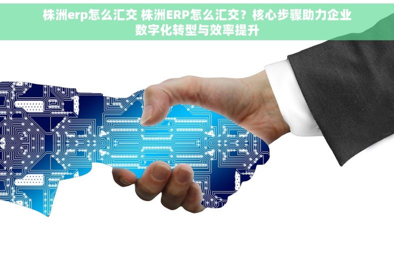 株洲erp怎么汇交 株洲ERP怎么汇交？核心步骤助力企业数字化转型与效率提升