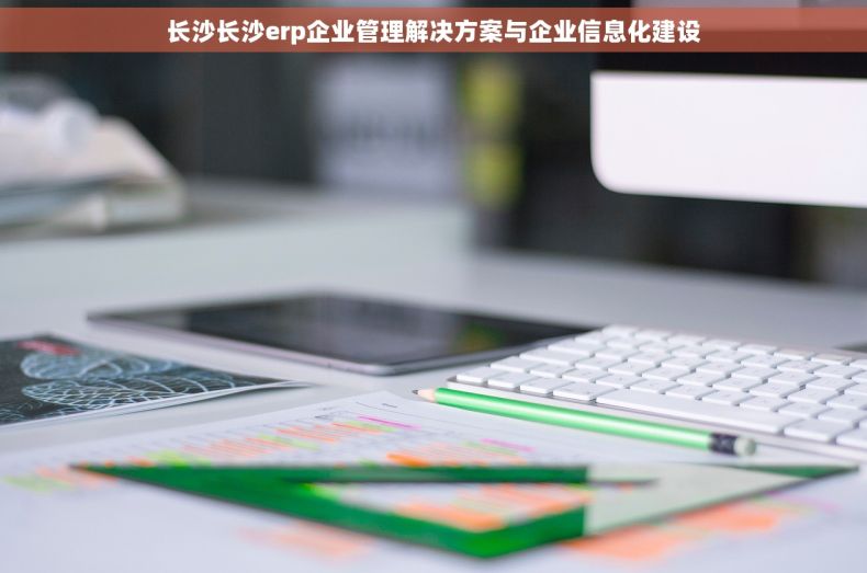长沙长沙erp企业管理解决方案与企业信息化建设