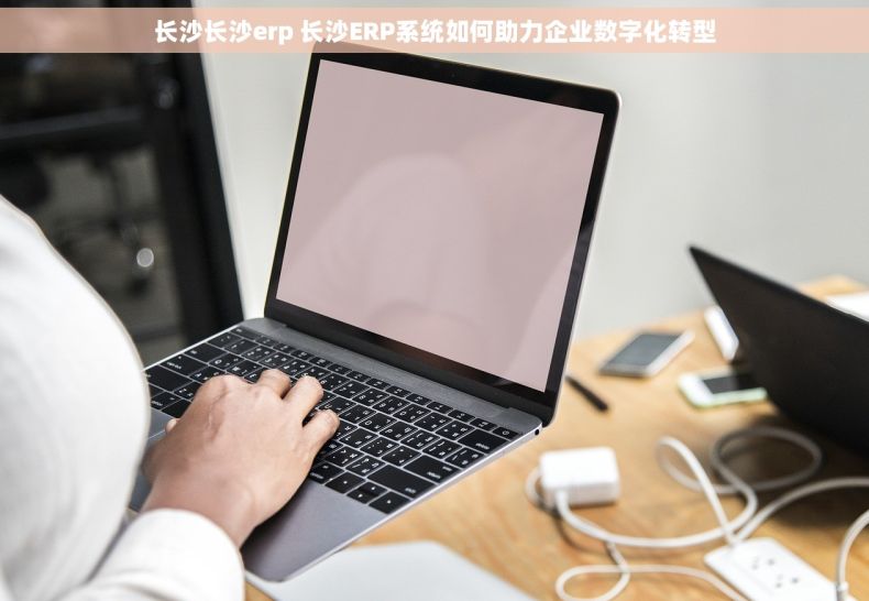 长沙长沙erp 长沙ERP系统如何助力企业数字化转型