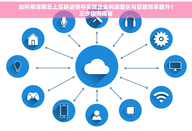 如何用湖南云上互联进销存实现企业利润增长与管理效率提升？三步指南揭秘