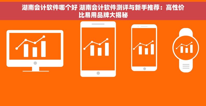 湖南会计软件哪个好 湖南会计软件测评与新手推荐：高性价比易用品牌大揭秘