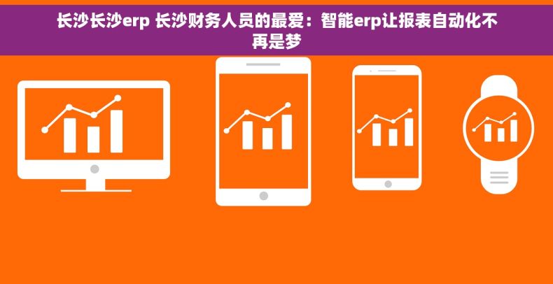 长沙长沙erp 长沙财务人员的最爱：智能erp让报表自动化不再是梦