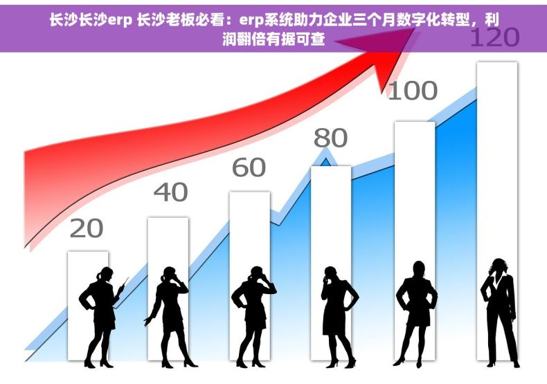 长沙长沙erp 长沙老板必看：erp系统助力企业三个月数字化转型，利润翻倍有据可查
