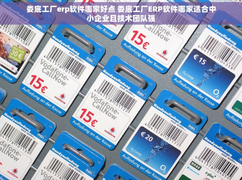 娄底工厂erp软件哪家好点 娄底工厂ERP软件哪家适合中小企业且技术团队强