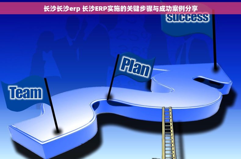 长沙长沙erp 长沙ERP实施的关键步骤与成功案例分享