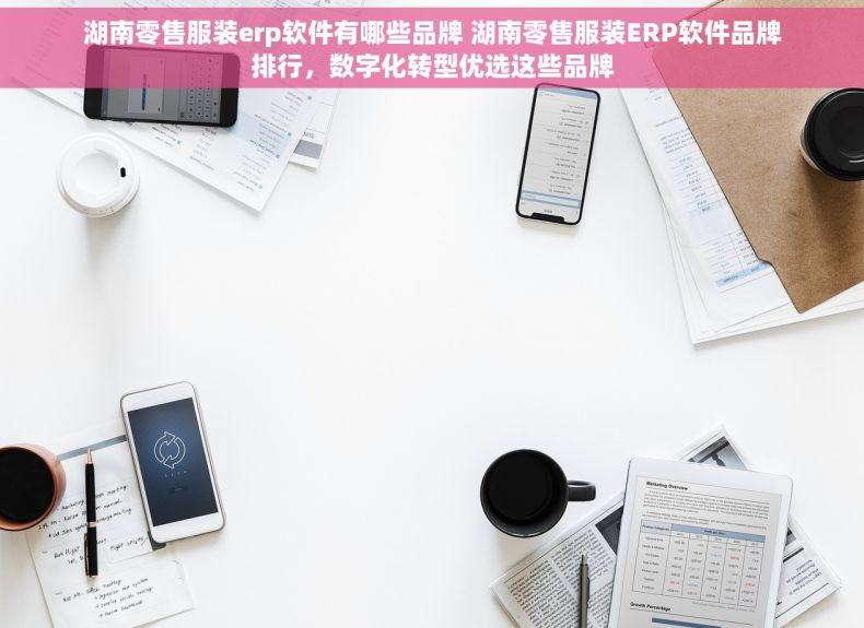 湖南零售服装erp软件有哪些品牌 湖南零售服装ERP软件品牌排行，数字化转型优选这些品牌