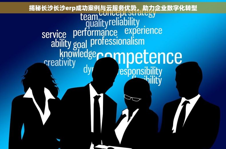 揭秘长沙长沙erp成功案例与云服务优势，助力企业数字化转型