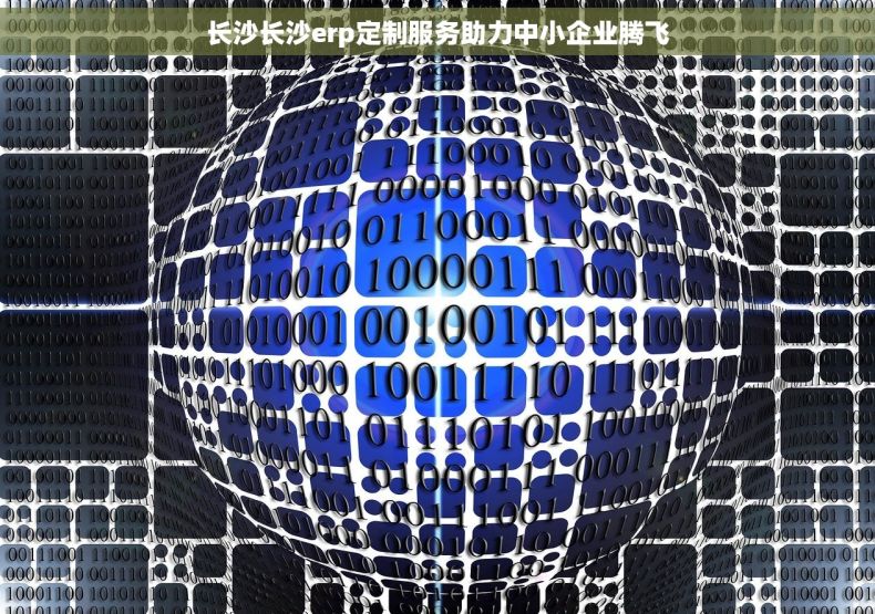 长沙长沙erp定制服务助力中小企业腾飞