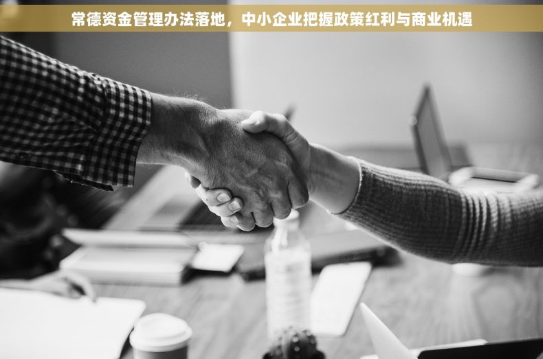 常德资金管理办法落地，中小企业把握政策红利与商业机遇